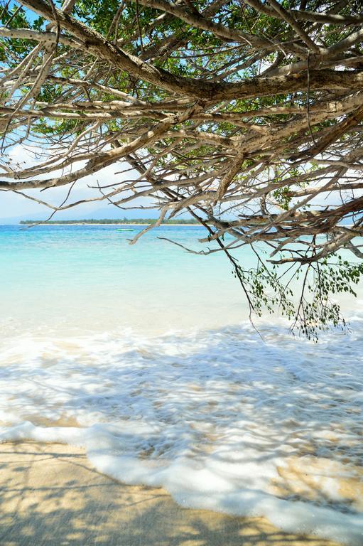 Gazebo Meno Hotell Gili Meno Eksteriør bilde